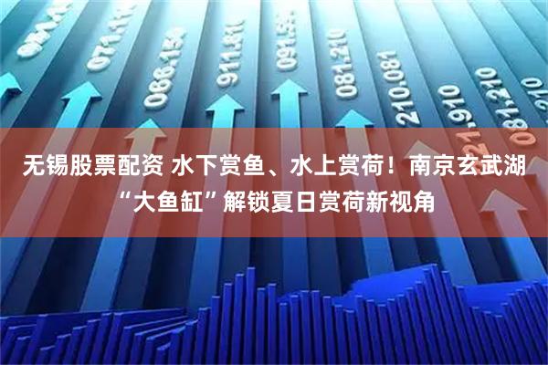 无锡股票配资 水下赏鱼、水上赏荷！南京玄武湖“大鱼缸”解锁夏日赏荷新视角