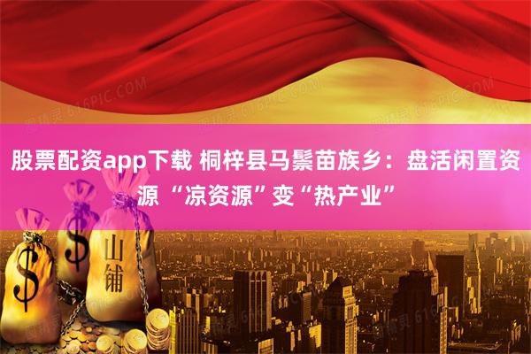 股票配资app下载 桐梓县马鬃苗族乡：盘活闲置资源 “凉资源”变“热产业”